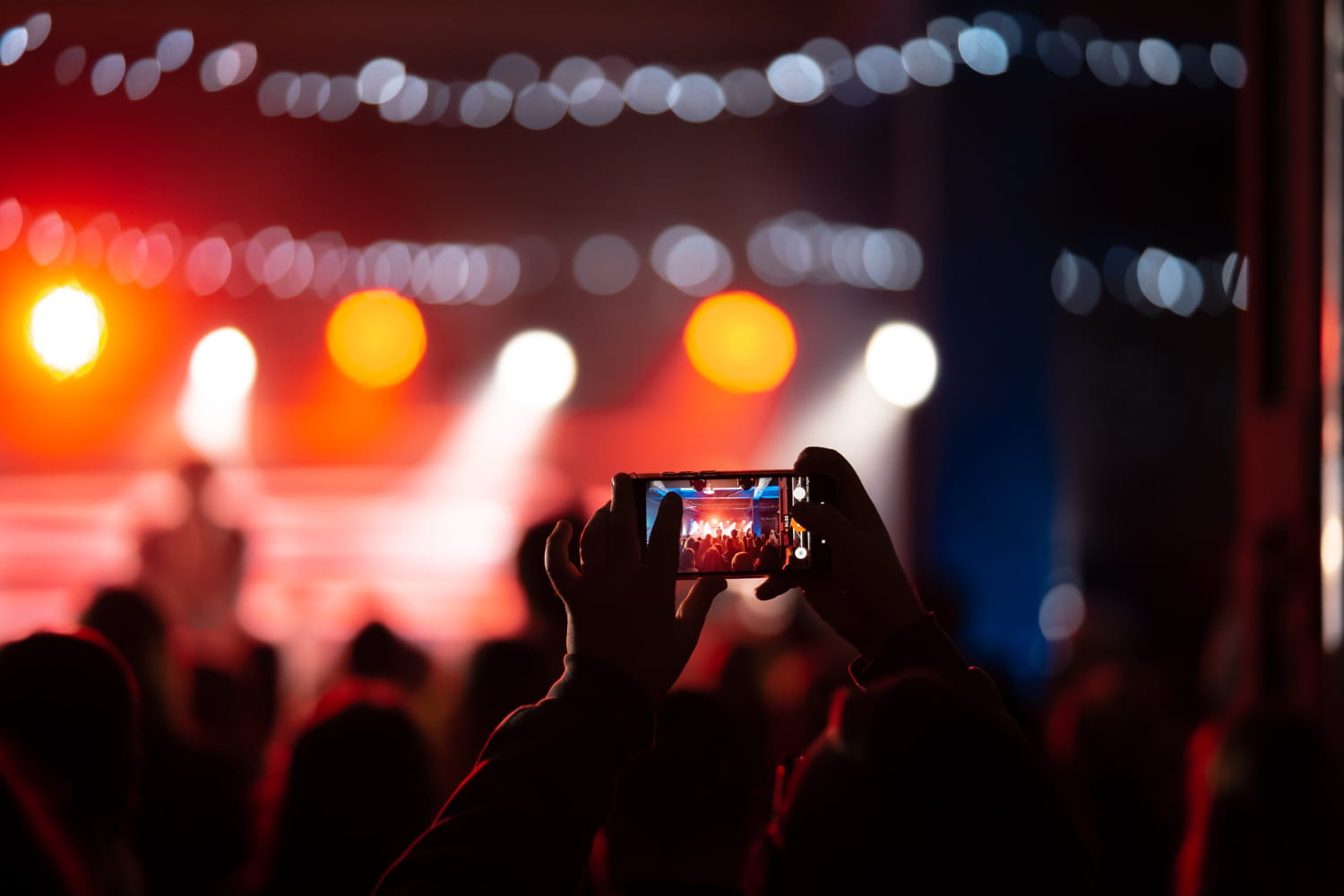 Book a Party Bus or Limo for Tampa Concerts